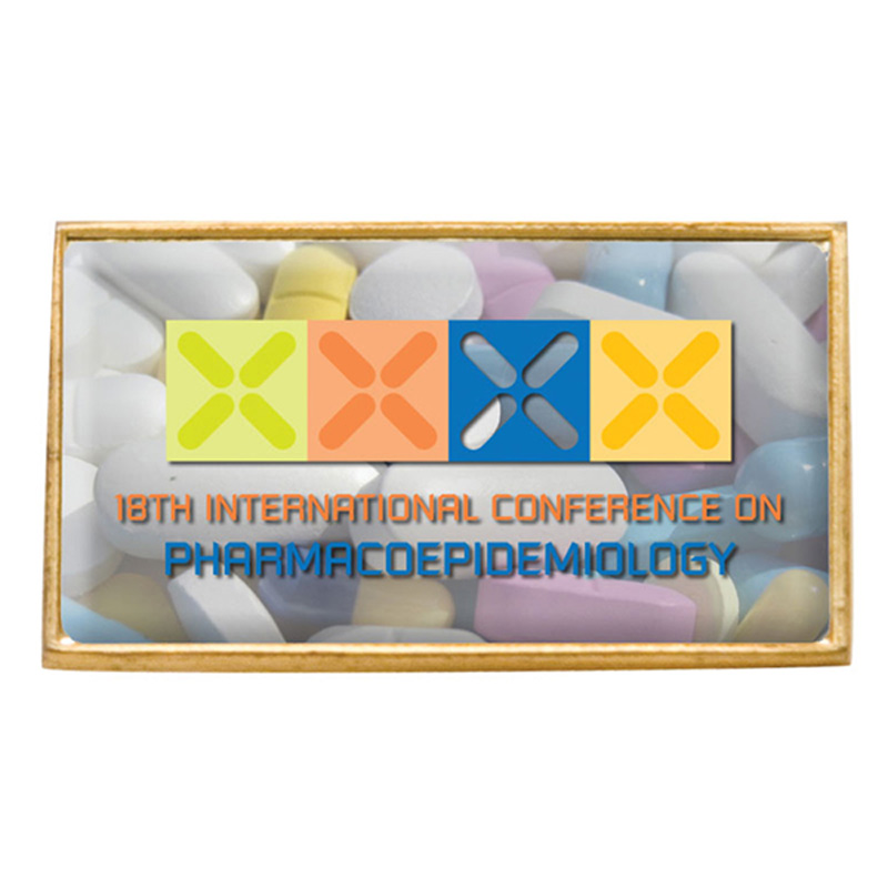 Rectangle Domed Lapel Pin